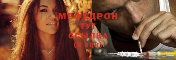 гидра Надым