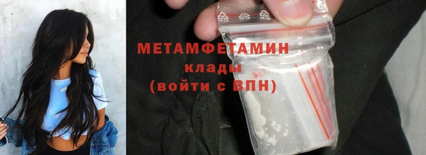 гидра Надым