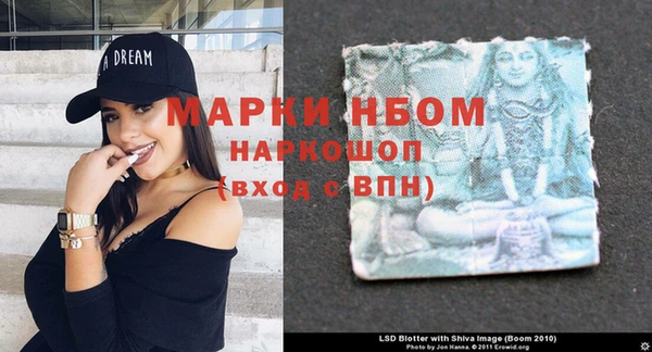 гидра Надым