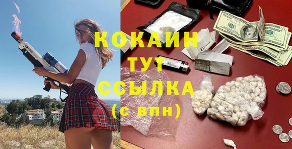 гидра Надым