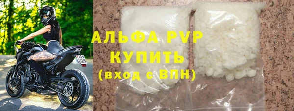 гидра Надым