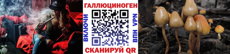 как найти закладки Энем Псилоцибиновые грибы мухоморы